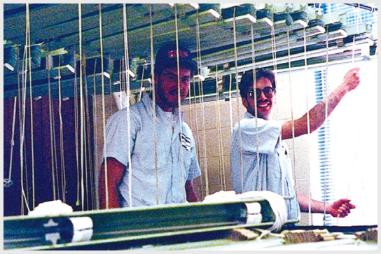 two people cleaning blinds